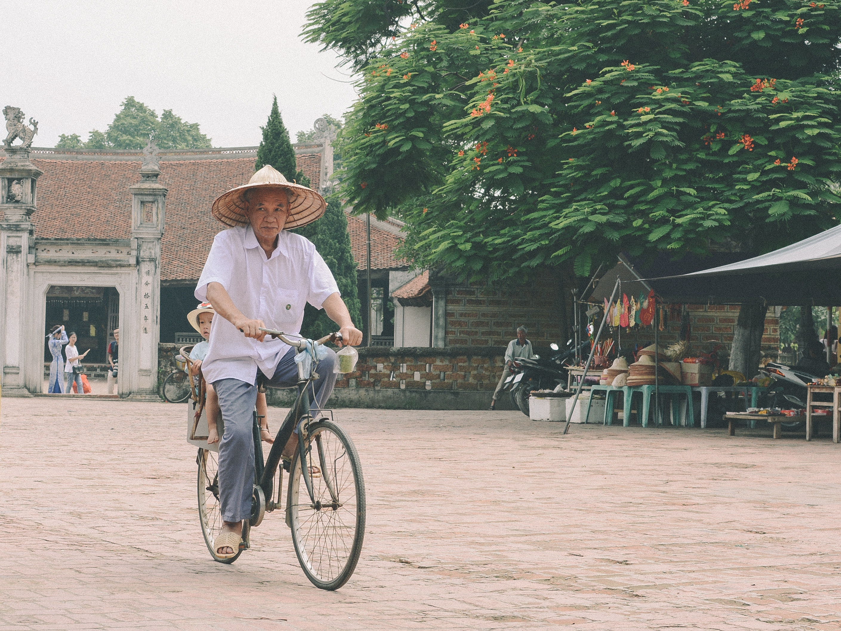 Hoa Lu Trang An/Tam Coc Dance Cave 1 Day Tour